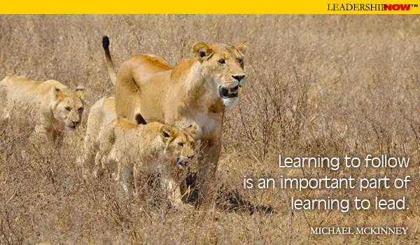 Leadership