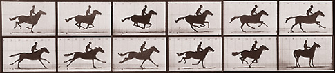 muybridge