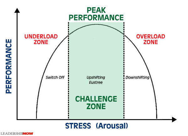 Stress Zones