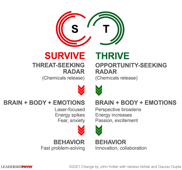 Survive Thrive