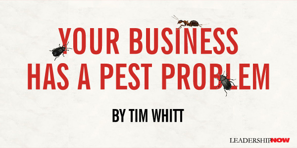 Whitt Pest