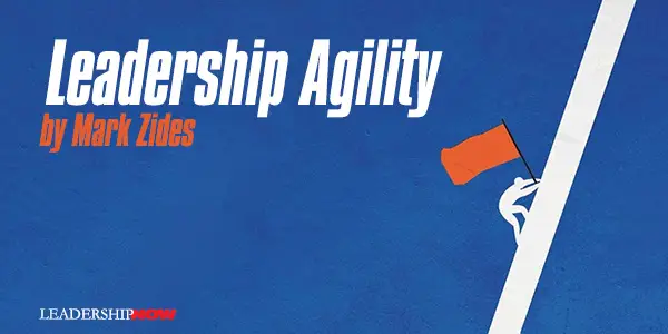 Zides Leadership Agility