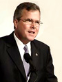 Jeb Bush